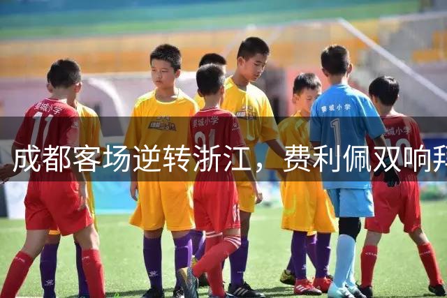 成都客场逆转浙江，费利佩双响拜合拉木绝杀